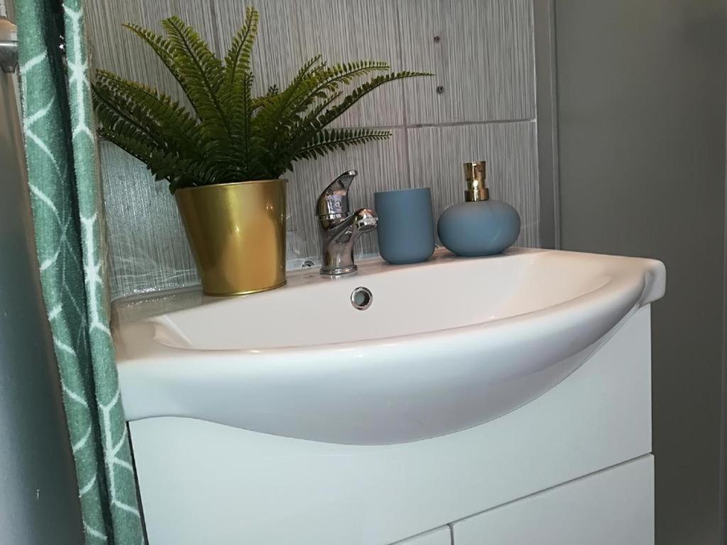 Guesthouse Smart Bucarest Extérieur photo