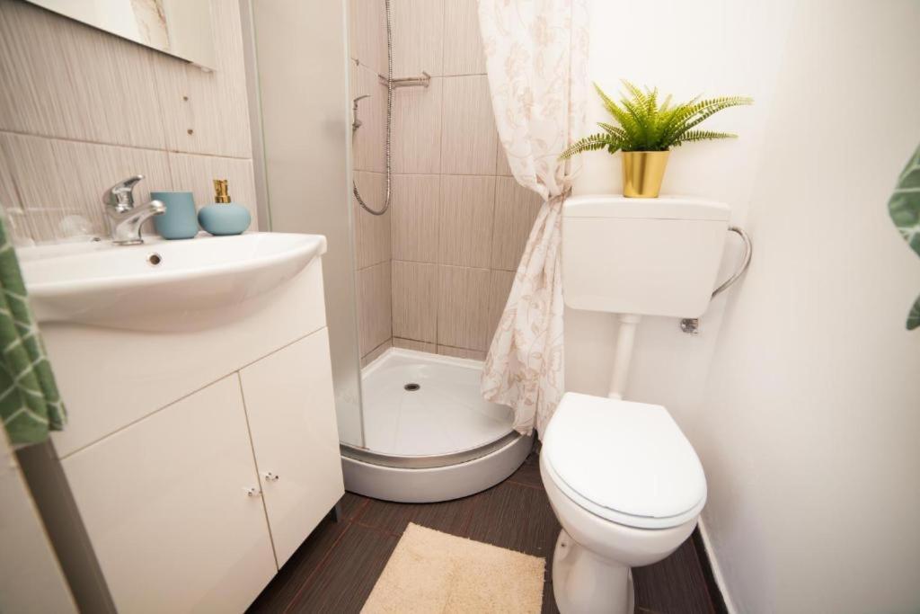 Guesthouse Smart Bucarest Extérieur photo